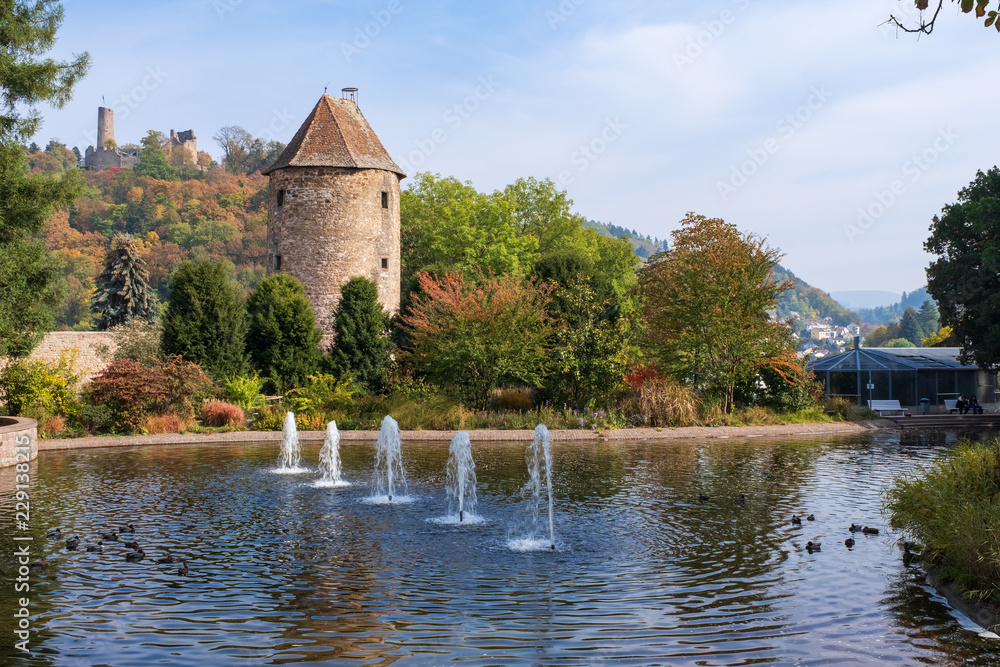 Fototapeta premium Im Stadtpark in Weinheim