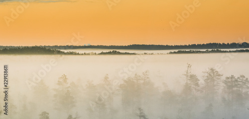 Colorful sunrise at swamp covered in fog. Wooden trail leading through the swamp. Sunshine through the thick mist with tree silhouettes at Cenas Tīrelis in Latvia. Early morning delight. 
