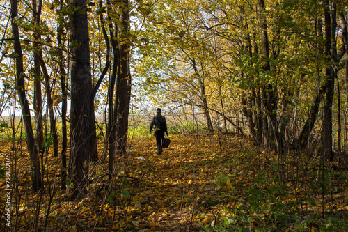 a man walks through the autumn forest with a large black bucket in his hand. Man collects mushrooms in the forest