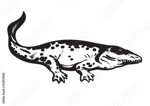 Prehistoric amphibian  Carboniferous tetrapod Stegocephalia Whatcheeriidae. Hand drawn vector illustration.