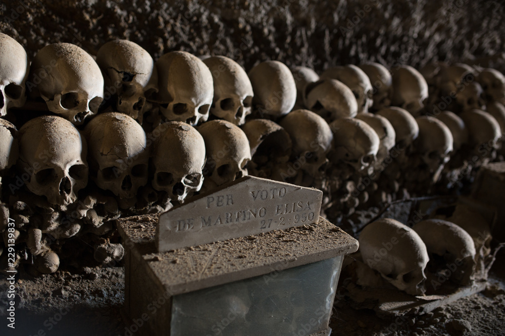 Obraz premium Skull and bones