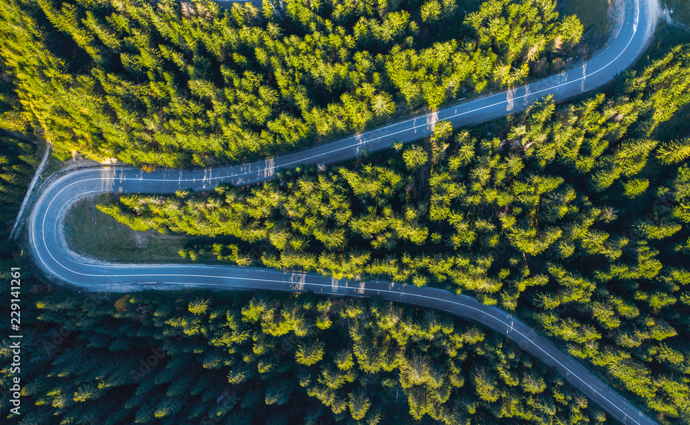 Aerial view of winding road in green forest