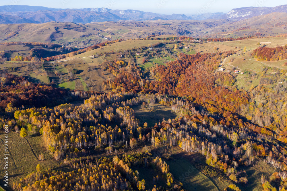 Aerial view of colorful autumn forest