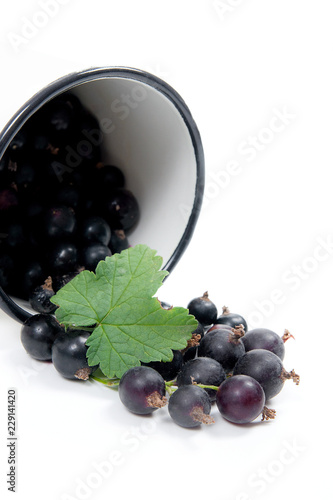 White cup with black currant berry in it and small bunch of black currant with green leaf isolated on white..