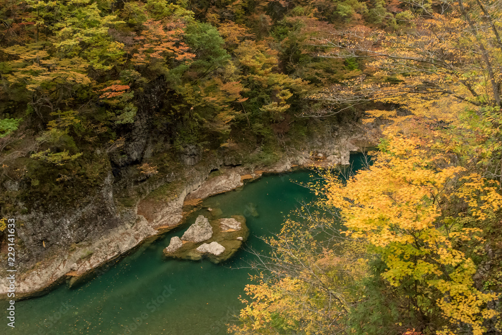 紅葉と緑色の川 紅葉と緑色の川