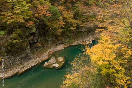 紅葉と緑色の川