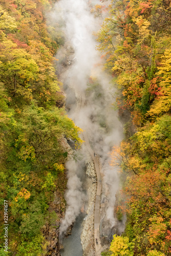 温泉が沸く渓谷 © Mizuki Kato