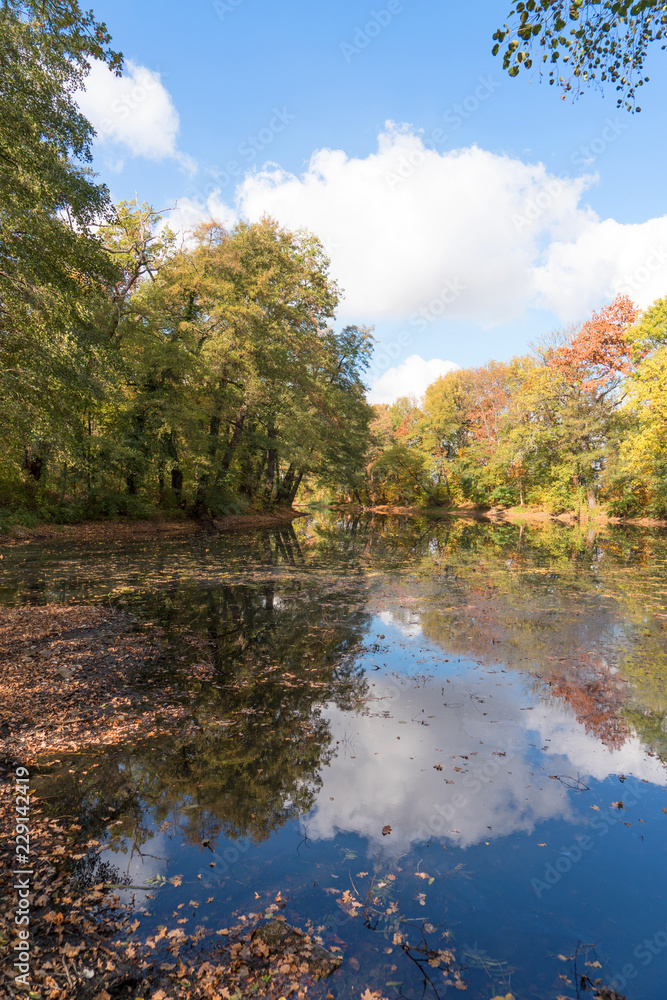 Fototapeta premium Autumn landscape. Reflection of colorful trees in the pond