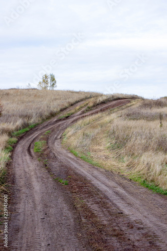 An empty rural road through a field of withered autumn grass.