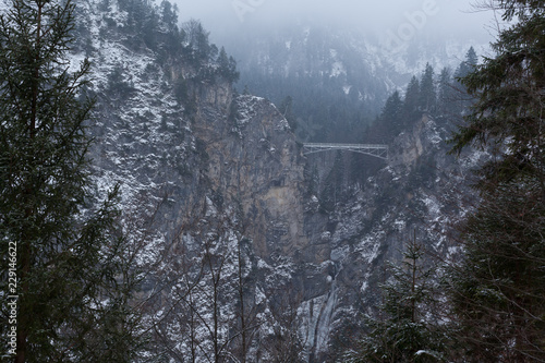 the bridge
