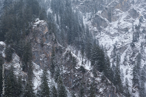 mountain in winter