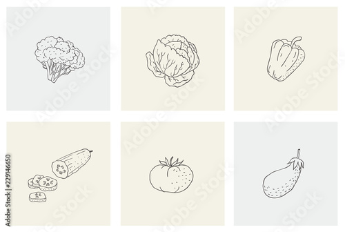 Set with healthy food, vegetables for print.