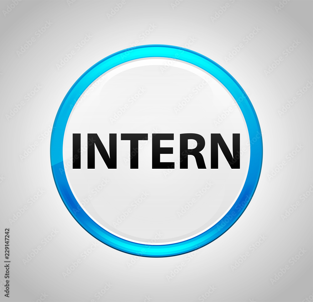 Intern Round Blue Push Button Intern Round Blue Push Button