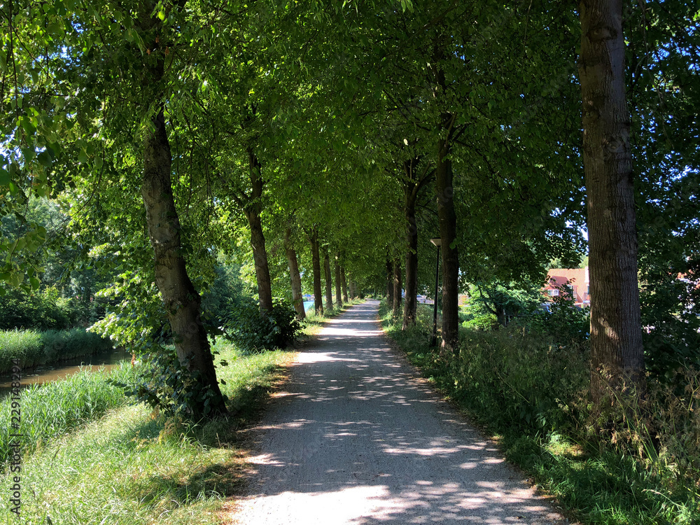 Path with trees in Bolsward