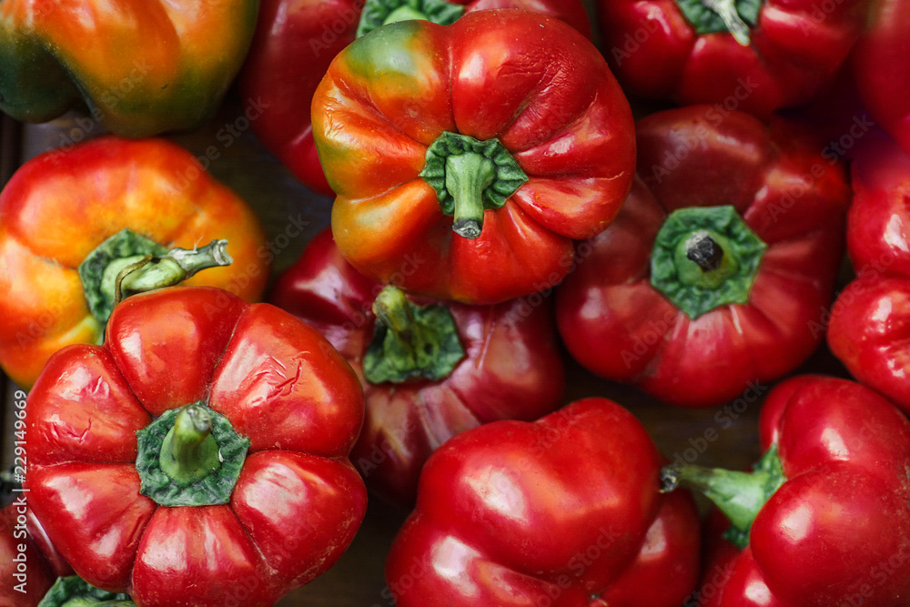 red hot pepper round shape natural background red hot pepper round shape natural background