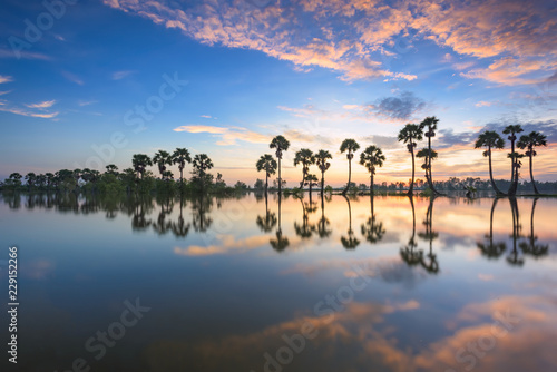 Sunrise on rice paddies during flood season.