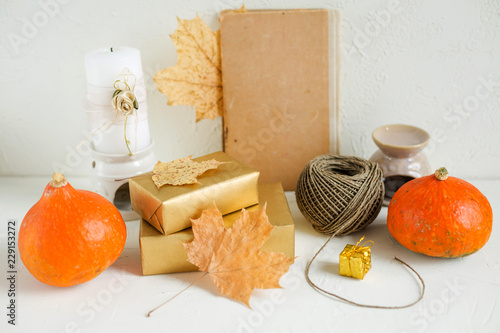 Still life on white. Pumpkins, autumn leaves photo