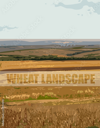 Wheat landscape Vector background. Autumn fall season harvests