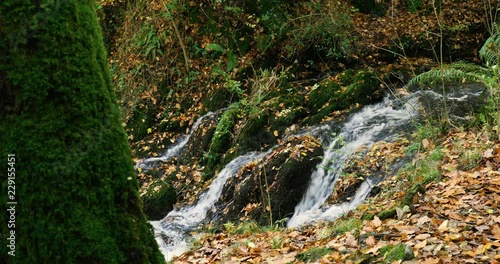 Small waterfall and rapids in a forest. October fall autumn in woodland. Orange leaves mossy rocks, water flowing over slate. Lake Districy, UK. 4K. photo