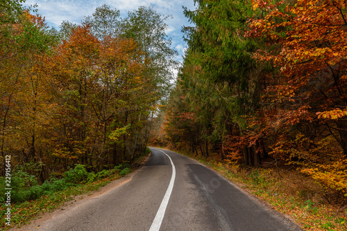 Autumn Empty Road 