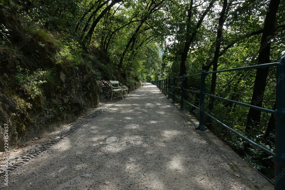 Naklejka premium Tappeinerweg