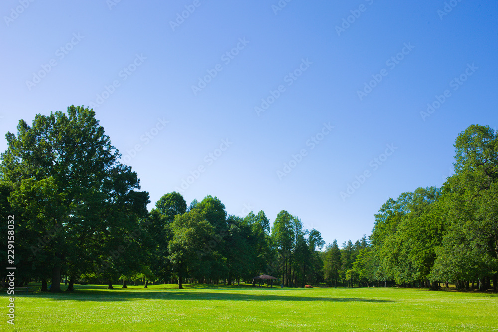 park lawn , blue sky