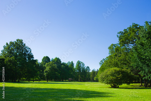 park lawn , blue sky