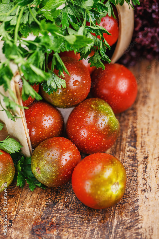 Composition with green-red tomatoes with salad and parsley Composition with green-red tomatoes with salad and parsley