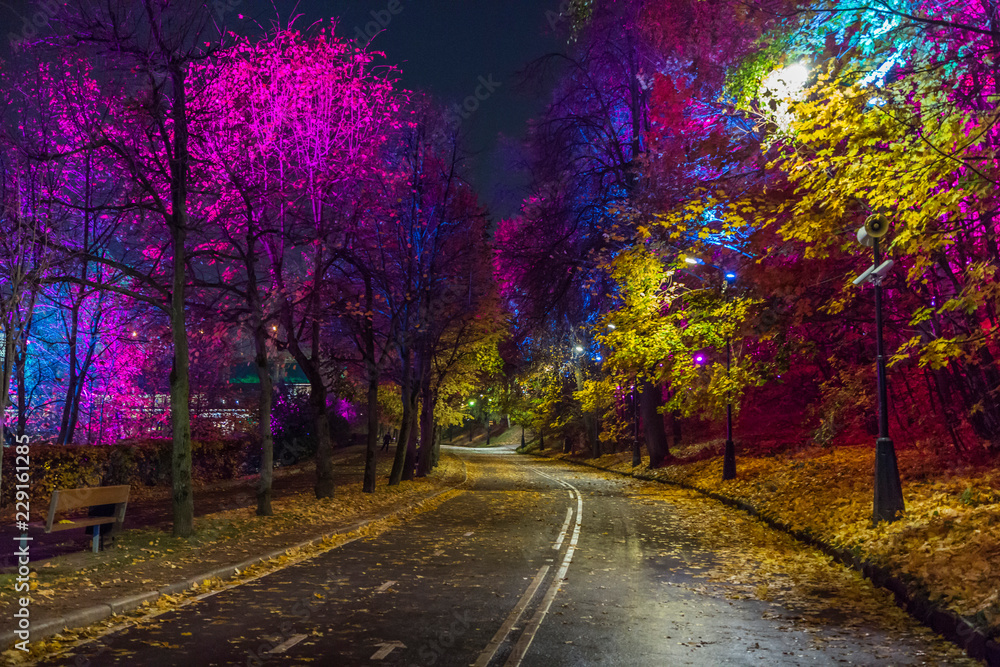 Night decoration of the park in the form of multi-colored lights. Magical forest in Moscow