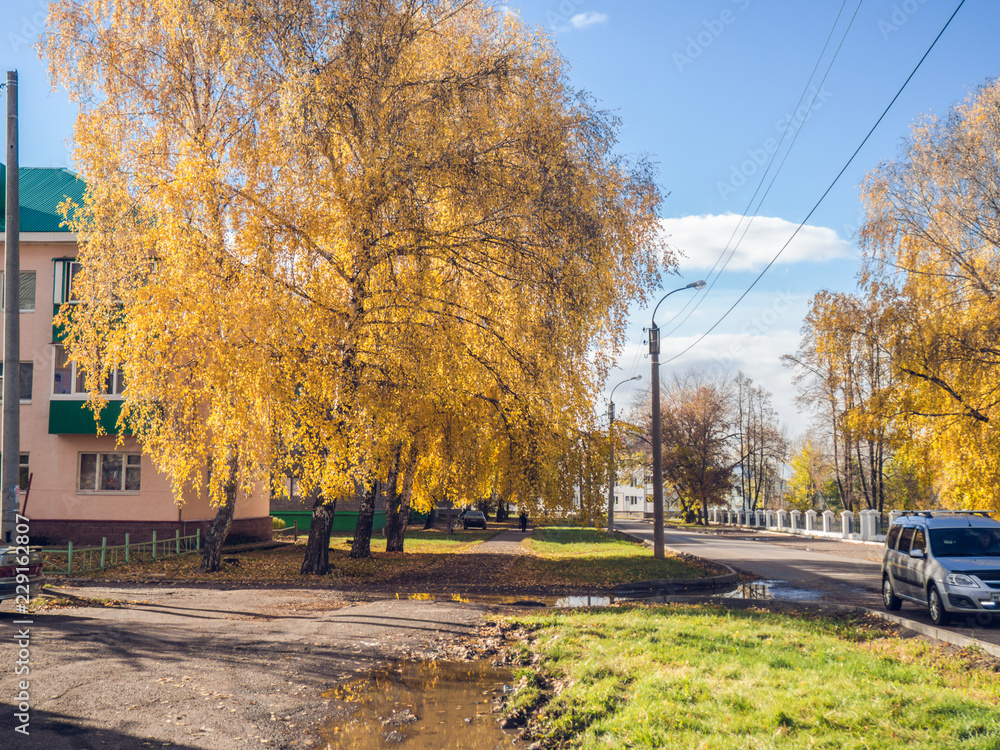 Autumn in a town