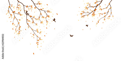 Autumn season with falling leaves with bird for wallpaper sticker