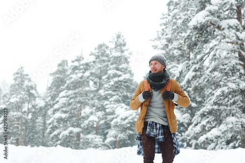 Curious handsome young traveler in warm clothing carrying bag on back strolling alone and looking around in winter forest