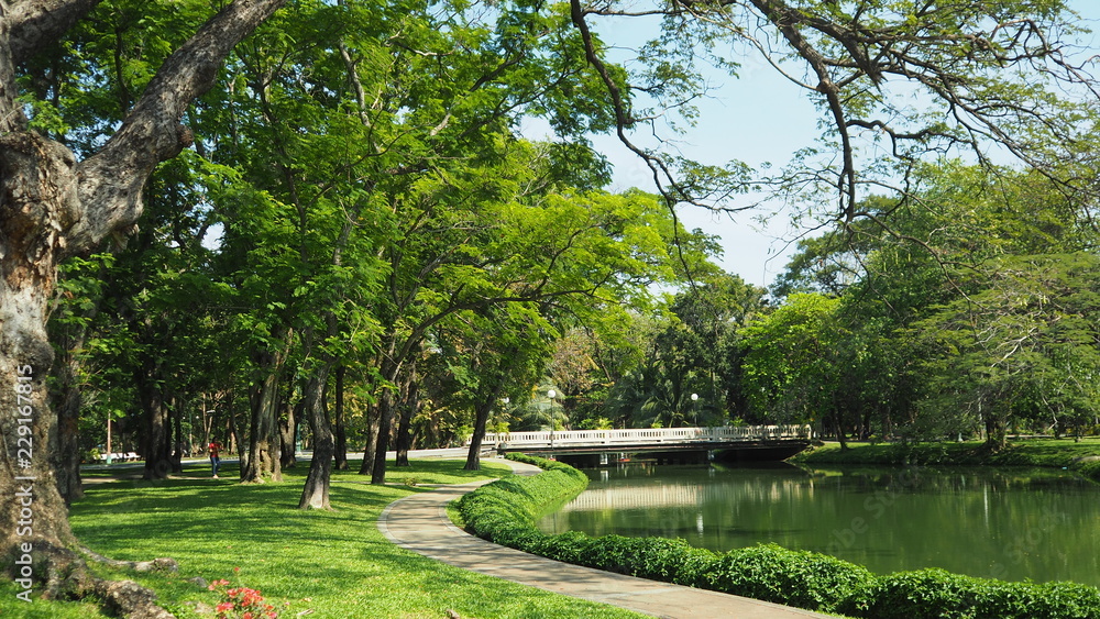 the route walks in public park , Thailand 