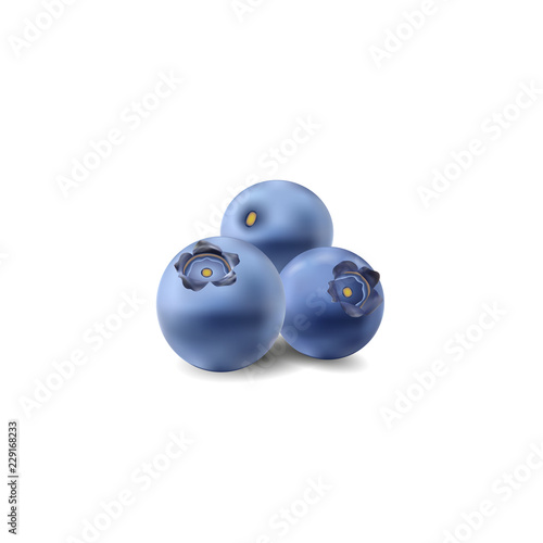 blueberry 