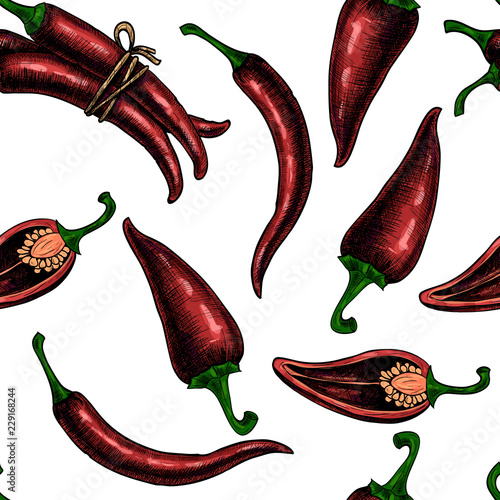 Hot chili. Vector seamless pattern. Vintage style