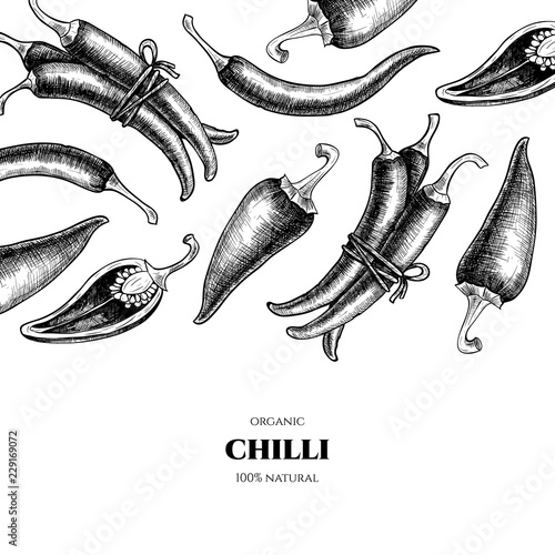 Vector frame with chilli. Hand drawn. Vintage style