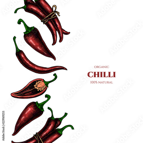 Vector frame with chilli. Hand drawn. Vintage style