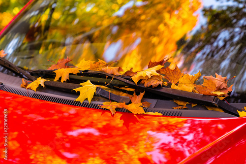 a red car standing with maple autumn leaves on the window