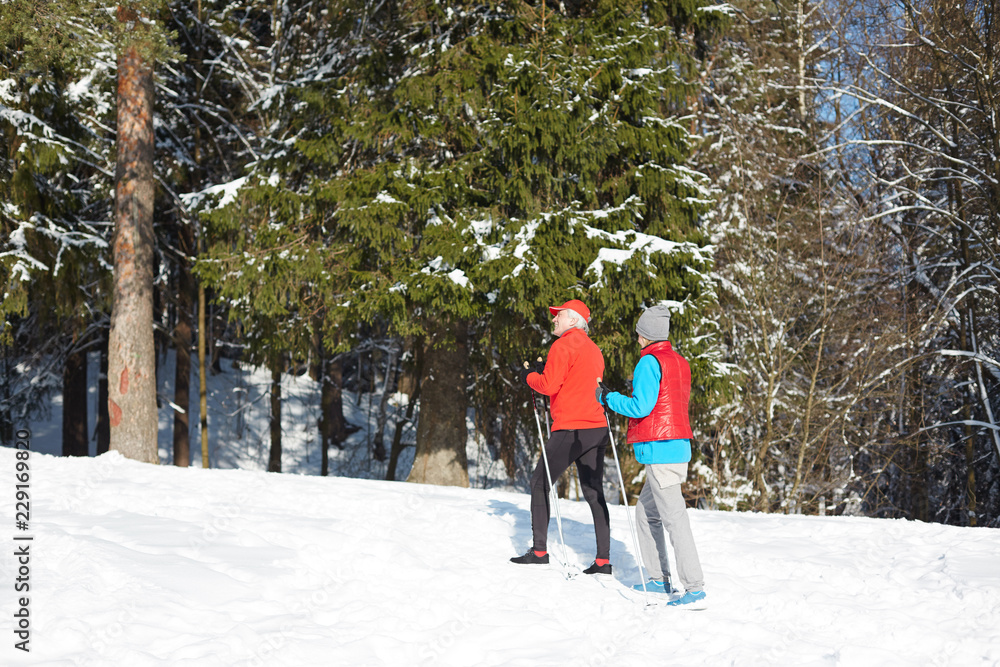 Contemporary sporty senior couple in activewear going skiing in winter forest together