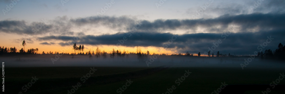 Fototapeta premium sunset and fog over field
