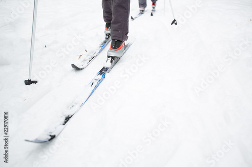 Legs of active people skiing on ski track in snowdrift while training in winter forest