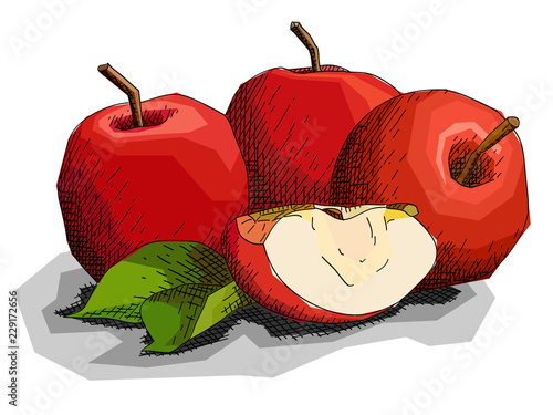 Vector illustration of drawing fruit red apples.