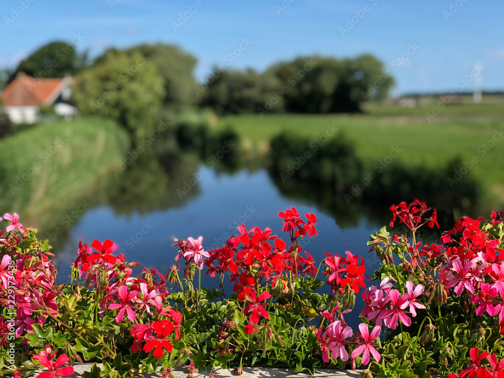 Flowers on a bridge around Cornwerd Flowers on a bridge around Cornwerd