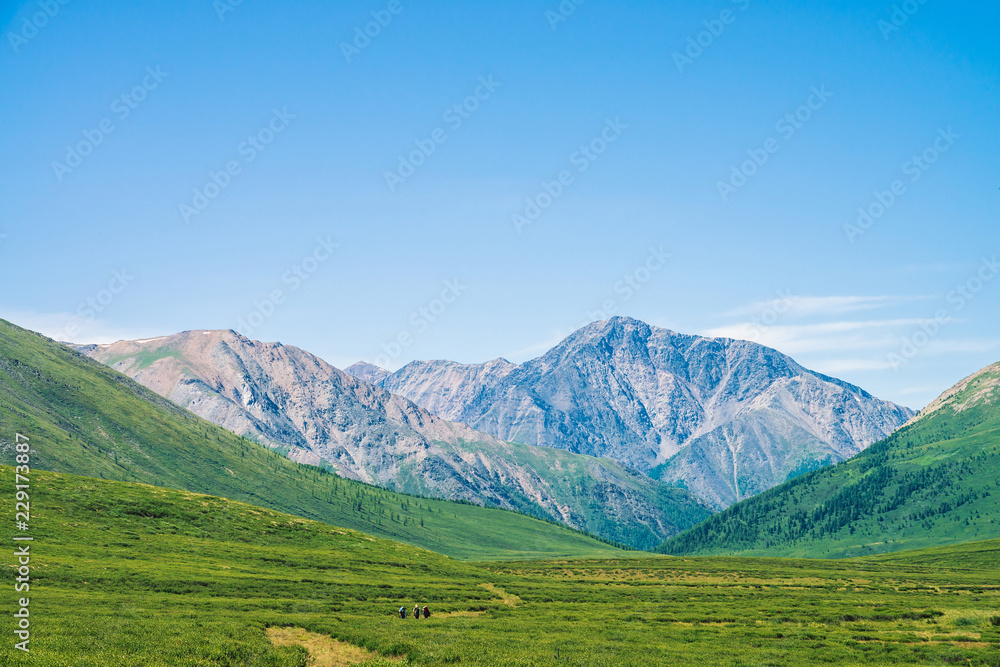 Tourists goes trail to giant mountains with snow in sunny day. Small tourists in green valley. Meadow with rich vegetation of highlands in sunlight. Amazing mountain landscape of majestic nature.