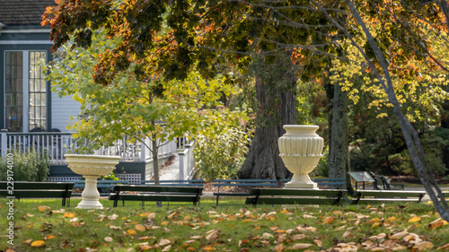 autumn in the park