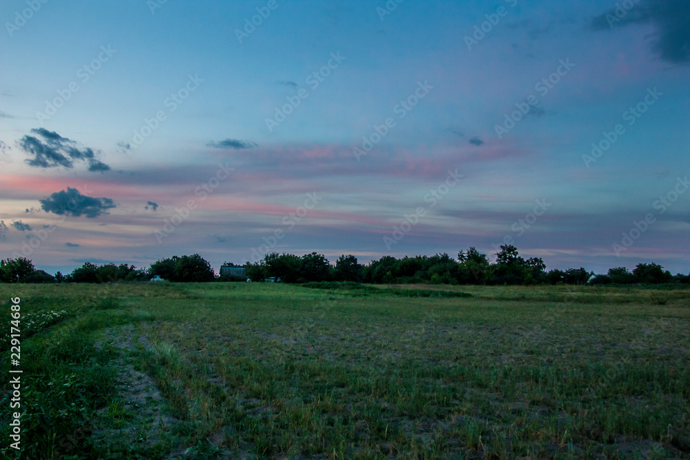 evening landscape