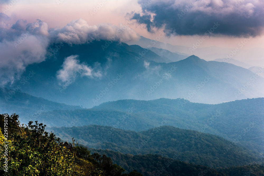 High mountain rainforest Thailand