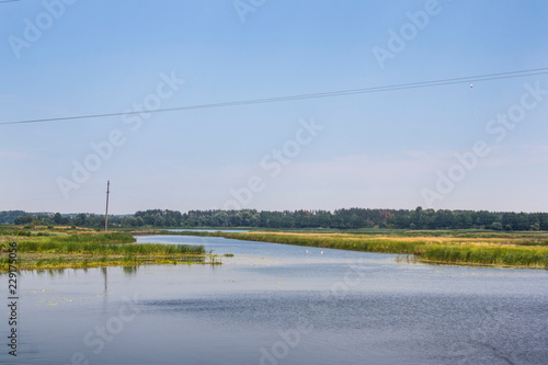 river in the field