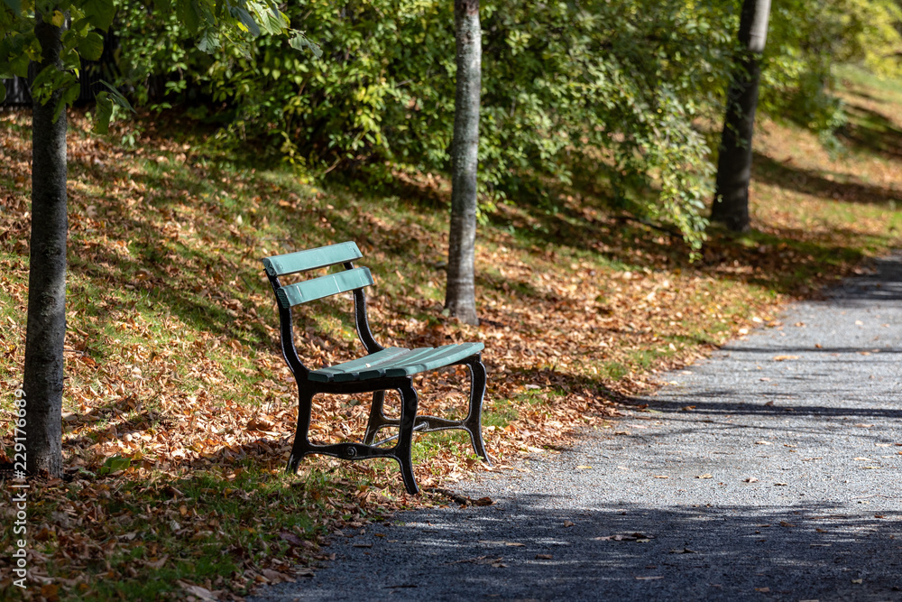 a lonely bench in the park during autumn, leaves, no people, path