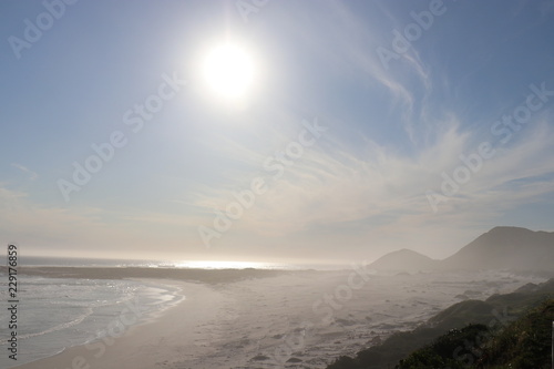 Coast - fork